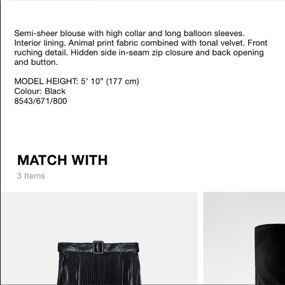 Zara NWT organza blouse - Picture 10 of 10